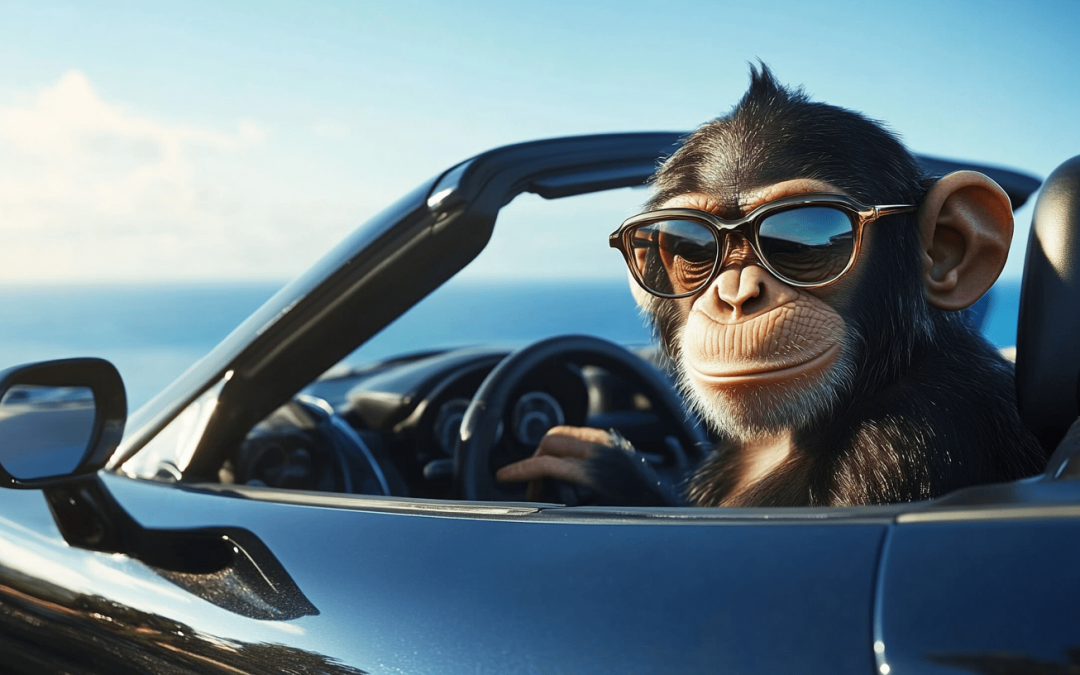 5 Easy Ways to Save Money on Auto Insurance This Year